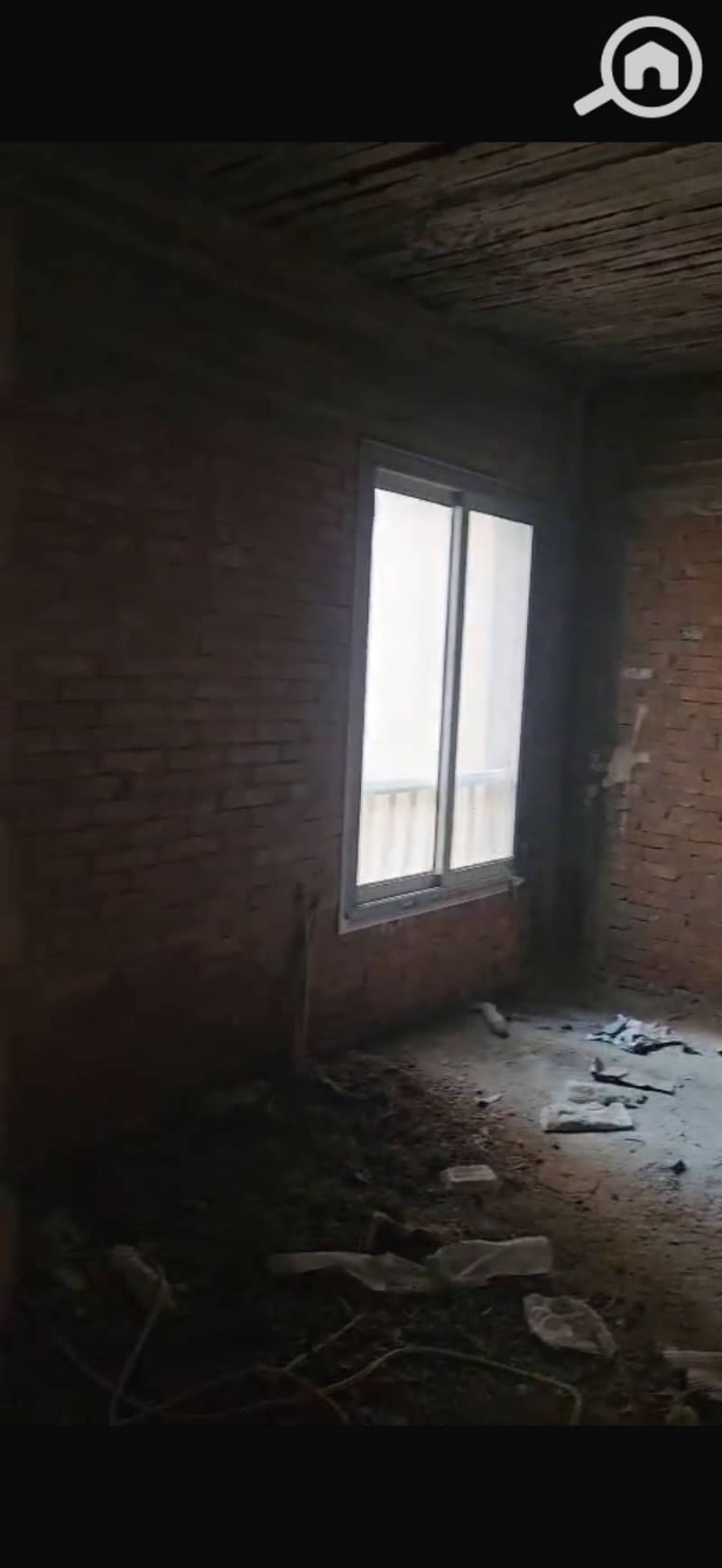 3 IMG_4242. png