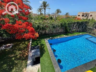 3 Bedroom Chalet for Sale in North Coast, Matruh - WhatsApp Image 2026-08-04 at 1.21. 38 PM (7). jpeg
