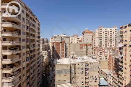 شقة 3 غرف نوم للبيع في السيوف، الإسكندرية - (1) IMG_9203. jpg شقة 3 غرف نوم للبيع في السيوف، الإسكندرية - (1) IMG_9203. jpg