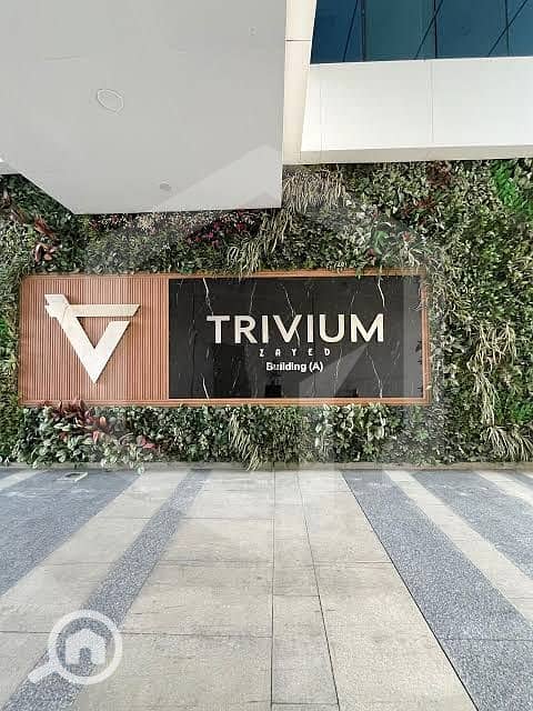 9 Trivium 9. jpg