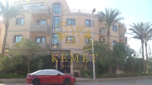 فلیٹ 3 غرف نوم للبيع في القاهرة الجديدة، القاهرة - WhatsApp Image 2026-08-03 at 2.01. 36 PM. jpeg فلیٹ 3 غرف نوم للبيع في القاهرة الجديدة، القاهرة - WhatsApp Image 2026-08-03 at 2.01. 36 PM. jpeg
