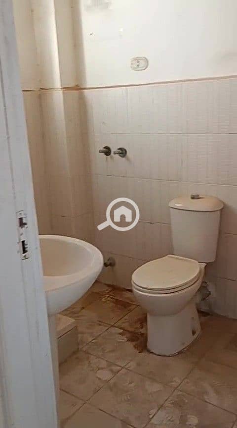 6 3. jpg