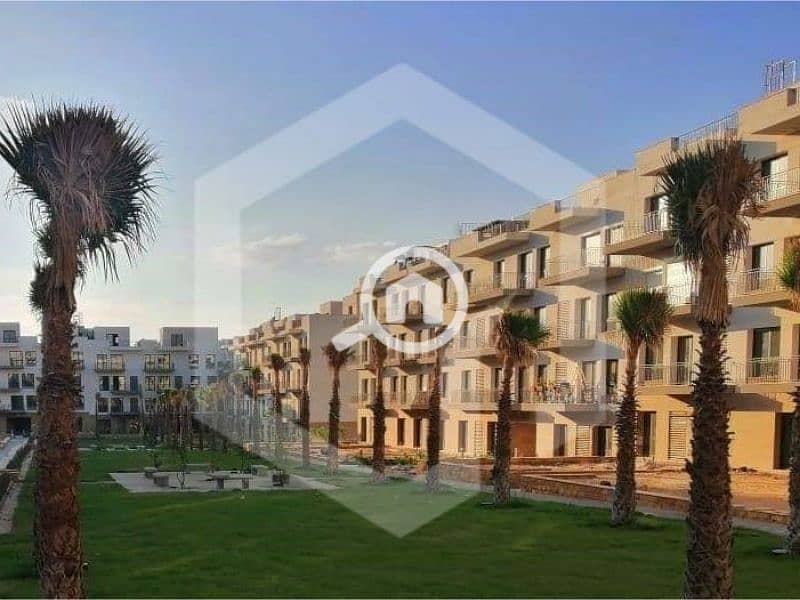5 Courtyard Sodic 1. jpg