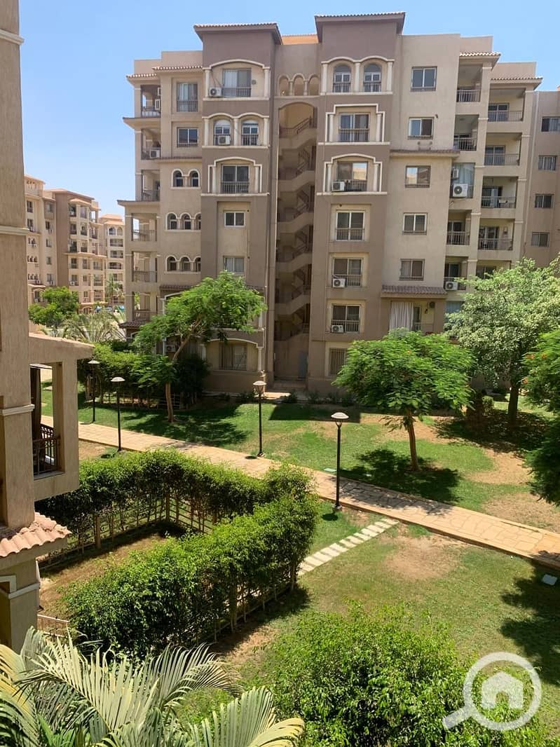 2 1000008251. jpg
