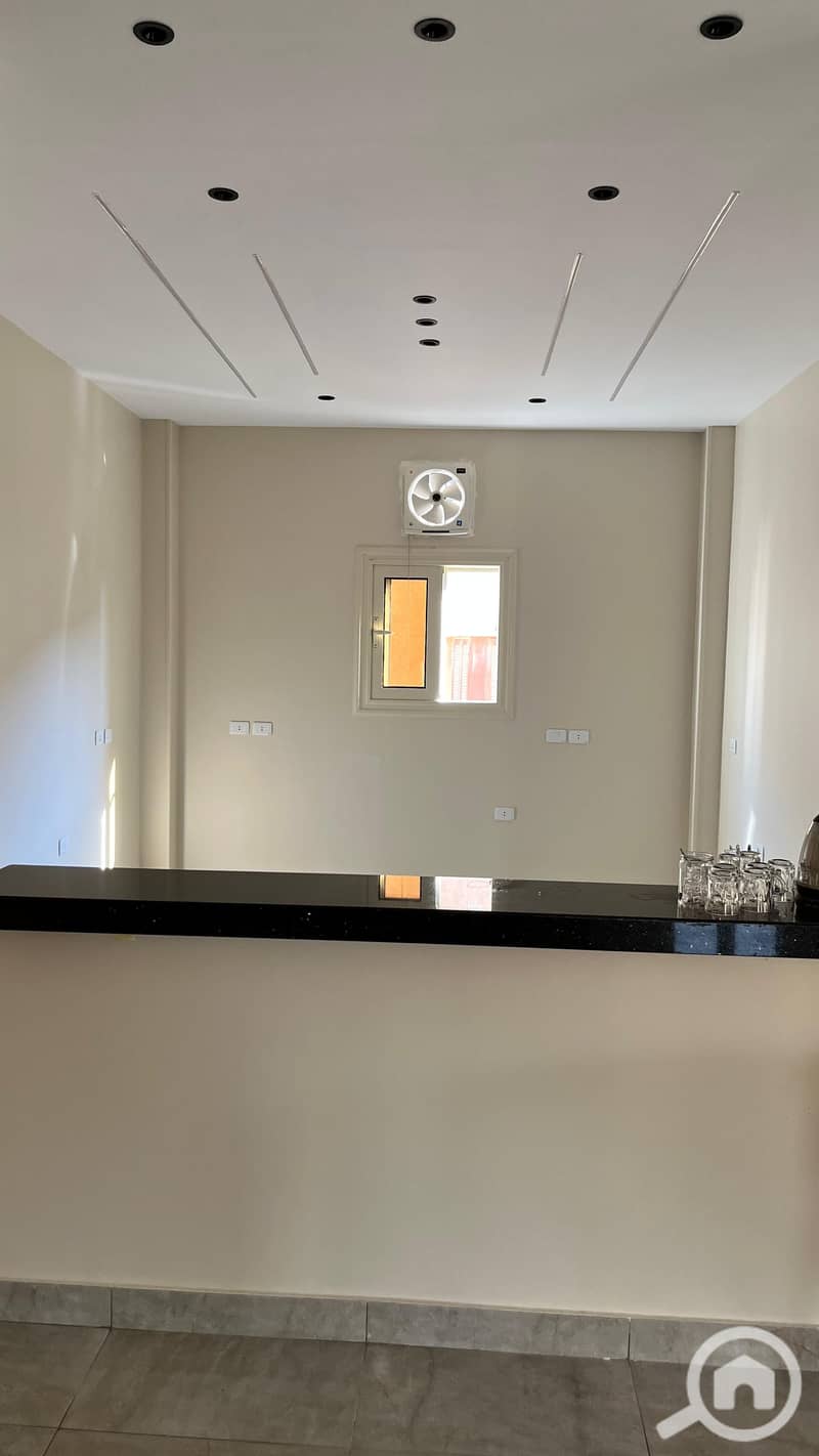 4 137337. jpg