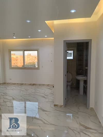 3 Bedroom Apartment for Rent in New Cairo, Cairo - 1000298582. jpg 3 Bedroom Apartment for Rent in New Cairo, Cairo - 1000298582. jpg