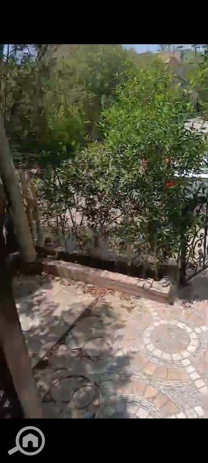 3 1000070905. jpg