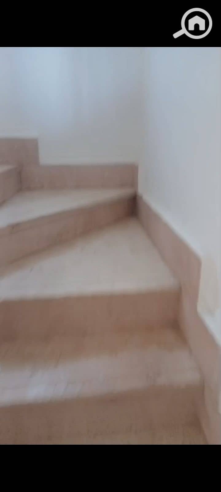 8 1000070916. jpg