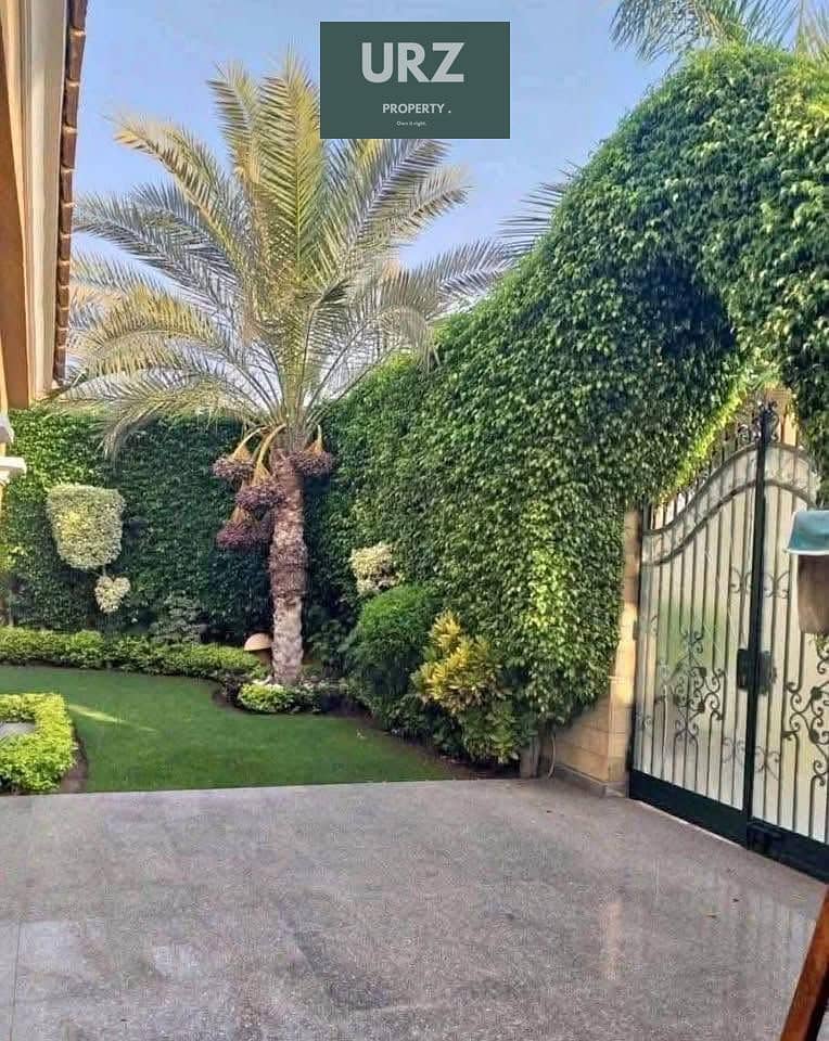 10 7. jpg