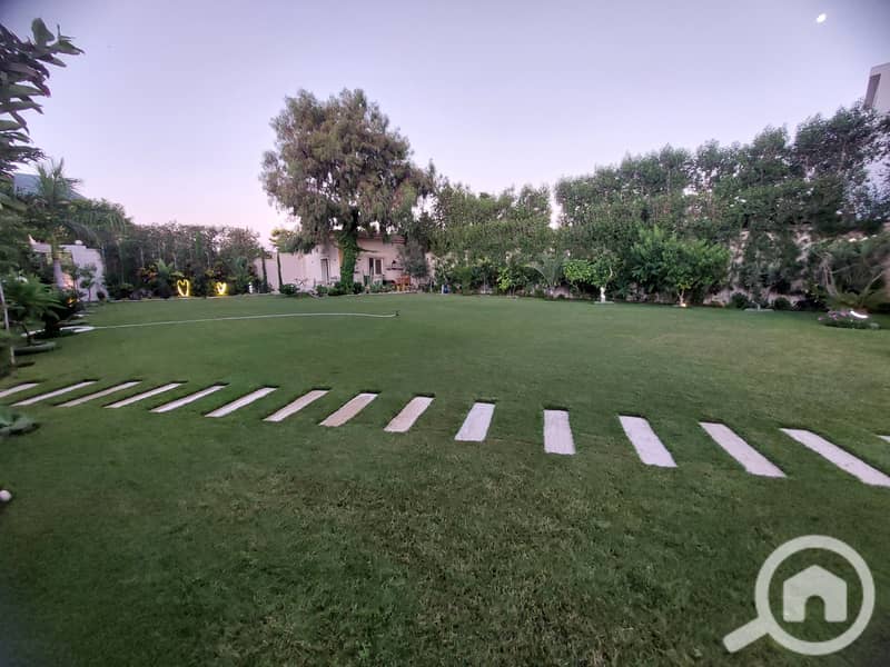 6 1000629715. jpg