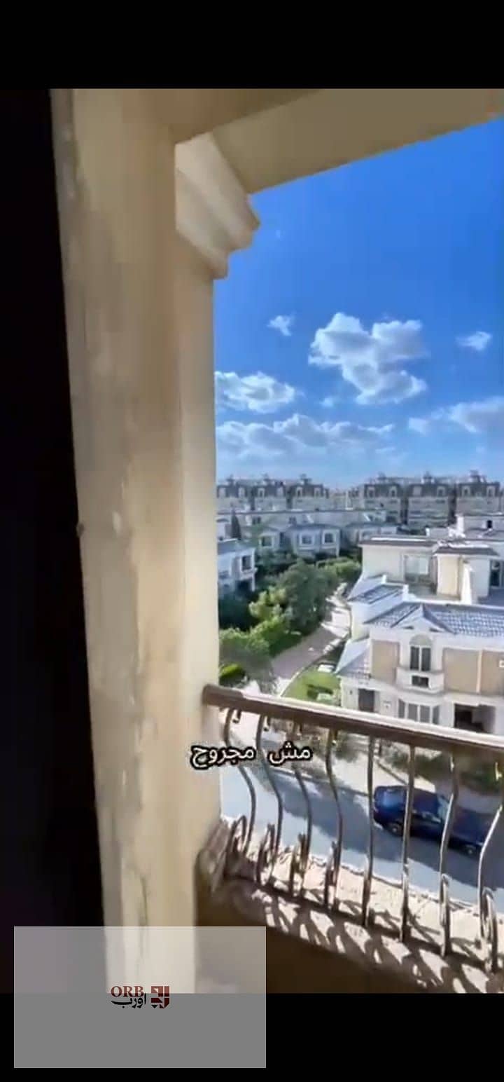12 1000009558. jpg
