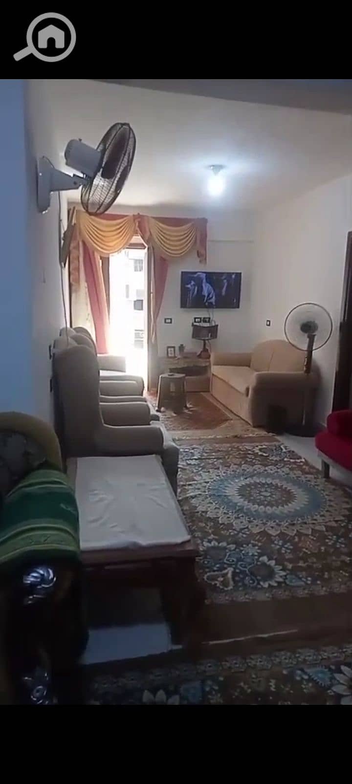 5 1000984713. jpg