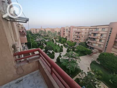 3 Bedroom Flat for Rent in New Cairo, Cairo - WhatsApp Image 2026-08-04 at 5.47. 13 PM. jpeg 3 Bedroom Flat for Rent in New Cairo, Cairo - WhatsApp Image 2026-08-04 at 5.47. 13 PM. jpeg