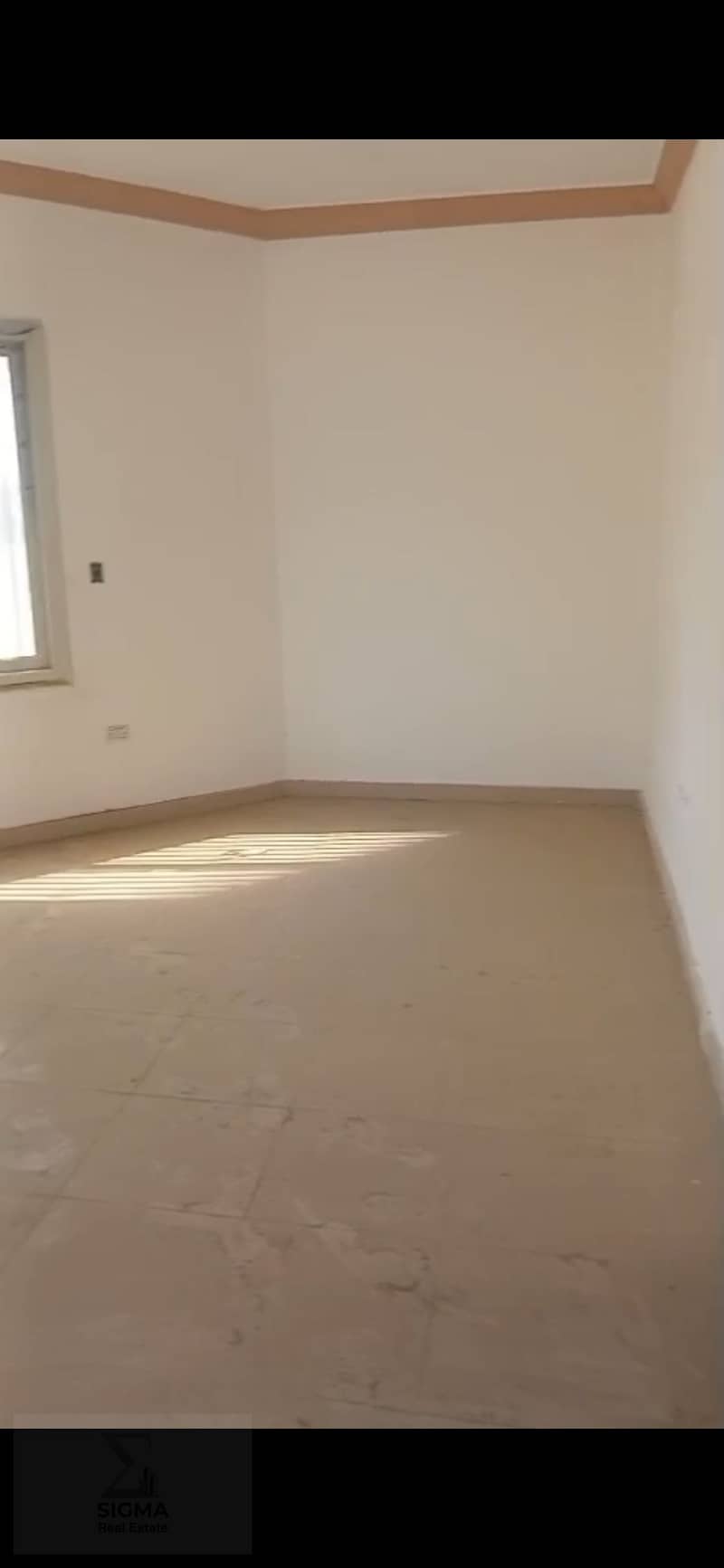 3 1000488183. jpg