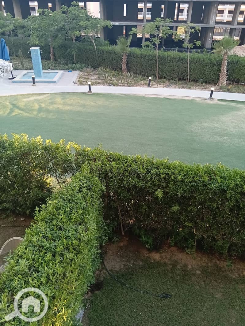 5 77853. jpg