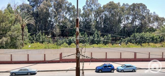 فلیٹ 3 غرف نوم للبيع في مصر الجديدة، القاهرة - WhatsApp Image 2026-08-04 at 5.32. 37 PM (3). jpeg