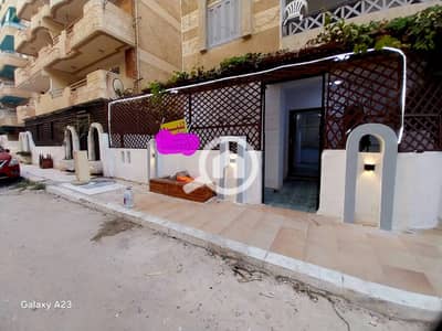 شقة 2 غرفة نوم للبيع في النخيل، الإسكندرية - 1000463293. jpg شقة 2 غرفة نوم للبيع في النخيل، الإسكندرية - 1000463293. jpg