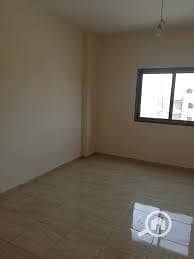 شقة 3 غرف نوم للايجار في عجمي، الإسكندرية - 1000985000. jpg