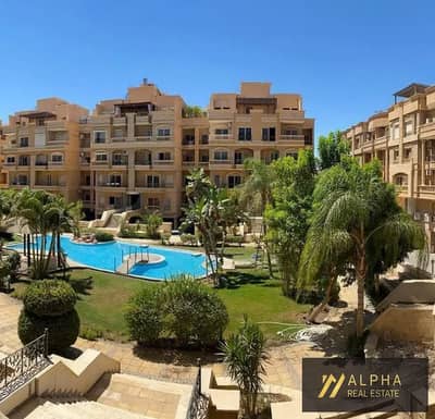 دوبلكس 3 غرف نوم للايجار في القاهرة الجديدة، القاهرة - 1000449413. jpg دوبلكس 3 غرف نوم للايجار في القاهرة الجديدة، القاهرة - 1000449413. jpg