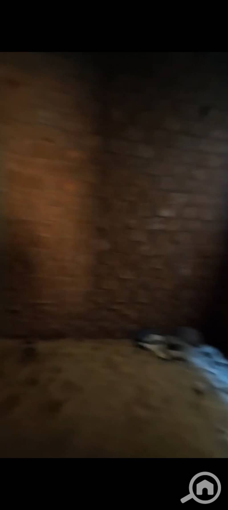 3 1000487587. jpg