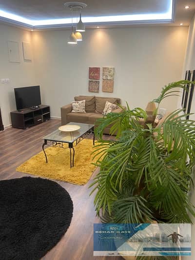 2 Bedroom Apartment for Rent in New Cairo, Cairo - 1000872732. jpg 2 Bedroom Apartment for Rent in New Cairo, Cairo - 1000872732. jpg