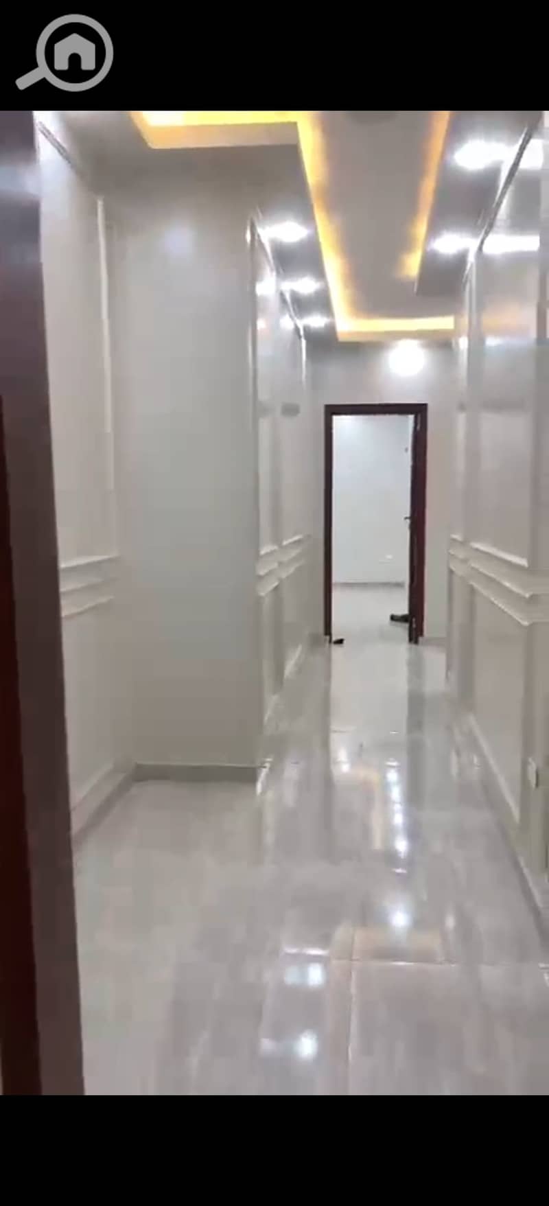 7 403984. jpg