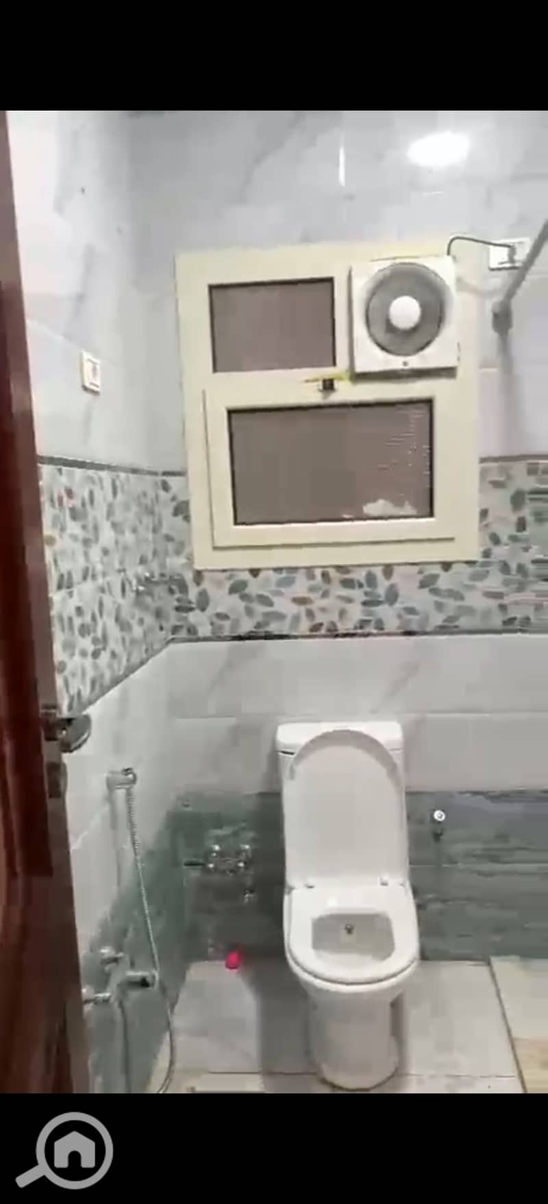8 403986. jpg