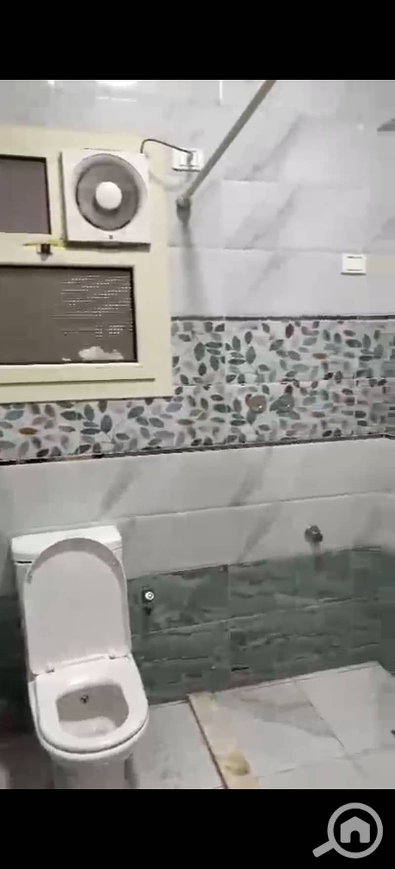 9 403987. jpg