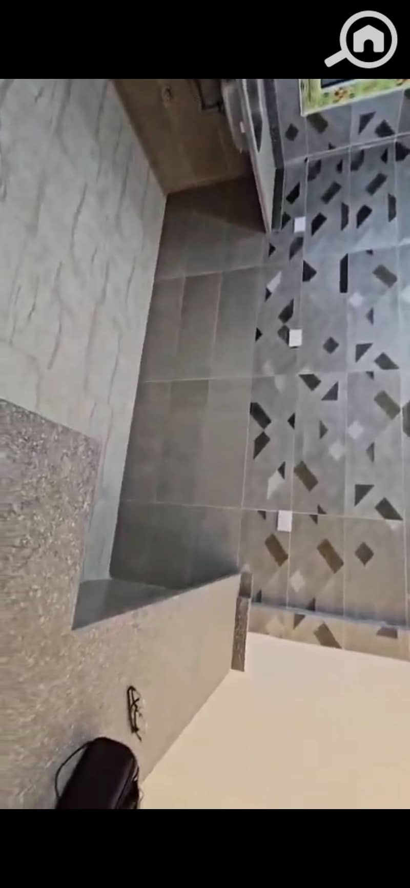 7 1001527366. jpg