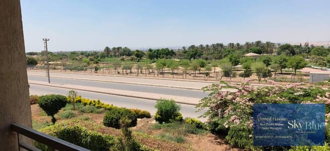 3 Bedroom Apartment for Sale in Mostakbal City, Cairo - WhatsApp Image 2026-08-04 at 11.10. 45 PM. jpeg 3 Bedroom Apartment for Sale in Mostakbal City, Cairo - WhatsApp Image 2026-08-04 at 11.10. 45 PM. jpeg