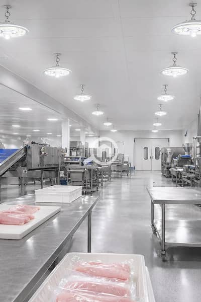 Factory for Rent in New Cairo, Cairo - 1000335994. jpg Factory for Rent in New Cairo, Cairo - 1000335994. jpg