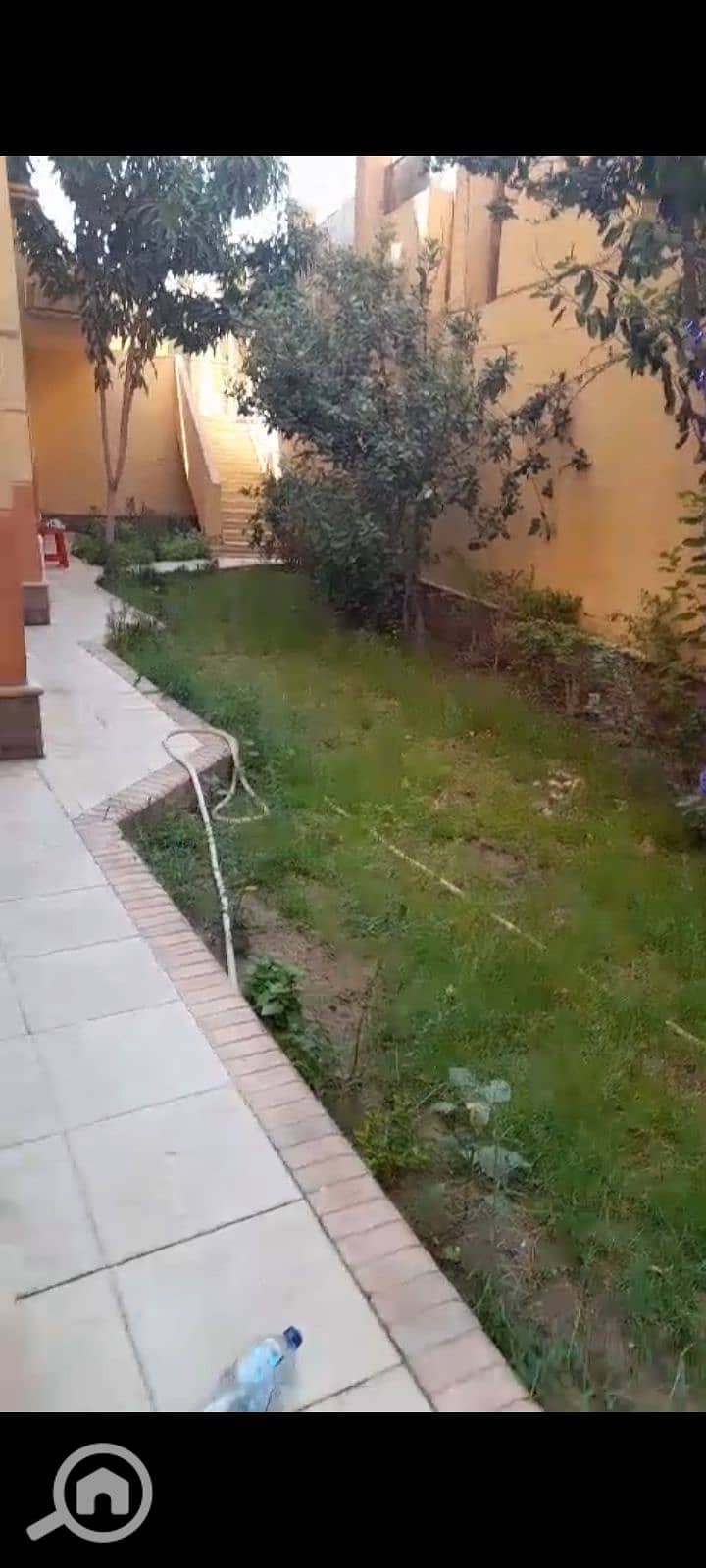 11 1000071040. jpg