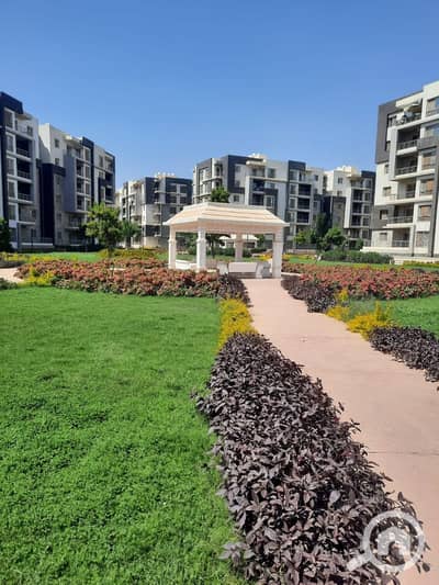 3 Bedroom Apartment for Rent in New Cairo, Cairo - 1000230106. jpg
