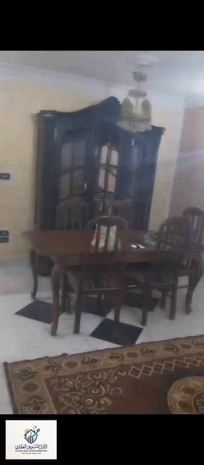 2 Bedroom Flat for Rent in Maadi, Cairo - 1000247629. jpg 2 Bedroom Flat for Rent in Maadi, Cairo - 1000247629. jpg