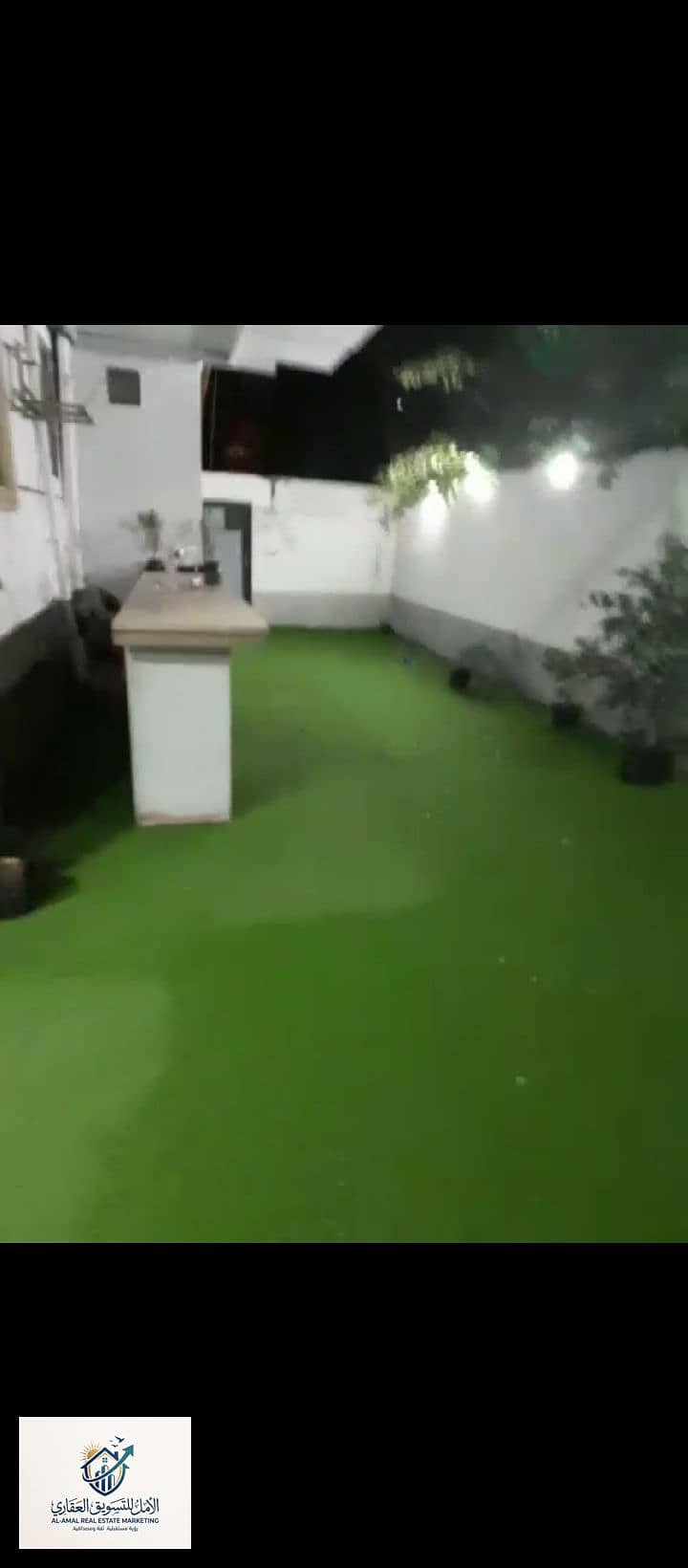 3 1000247713. jpg