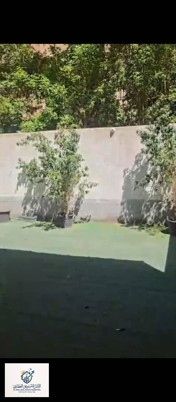 5 1000247702. jpg