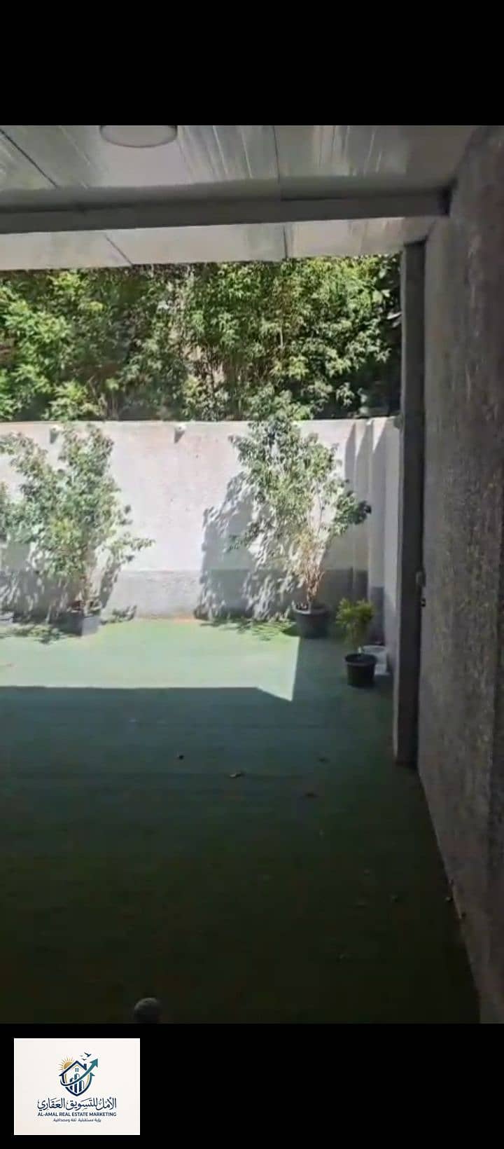 8 1000247697. jpg
