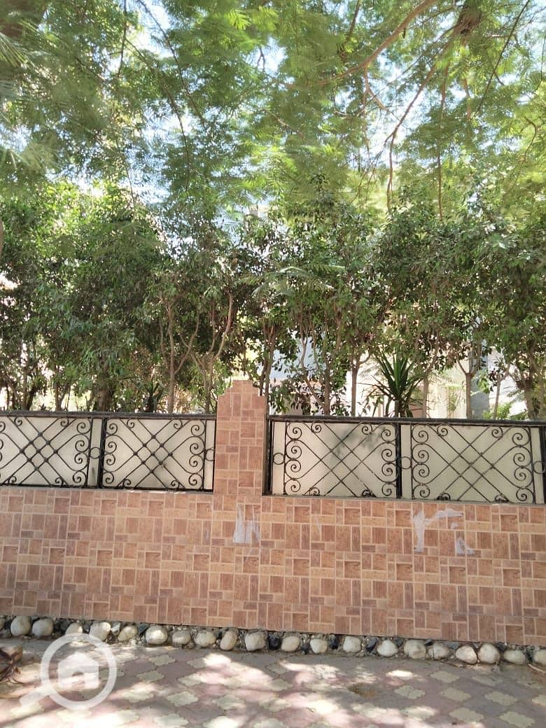 2 WhatsApp Image 2026-08-05 at 12.00. 41 PM (1). jpeg