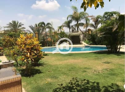 1 Bedroom Flat for Rent in New Cairo, Cairo - IMG-20260707-WA0107. jpg