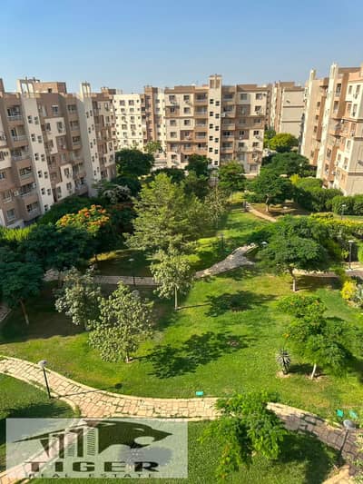 2 Bedroom Flat for Rent in Madinaty, Cairo - IMG-20260805-WA0071. jpg 2 Bedroom Flat for Rent in Madinaty, Cairo - IMG-20260805-WA0071. jpg