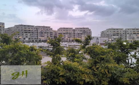 شقة 3 غرف نوم للبيع في القاهرة الجديدة، القاهرة - IMG-20251230-WA0164. jpg شقة 3 غرف نوم للبيع في القاهرة الجديدة، القاهرة - IMG-20251230-WA0164. jpg