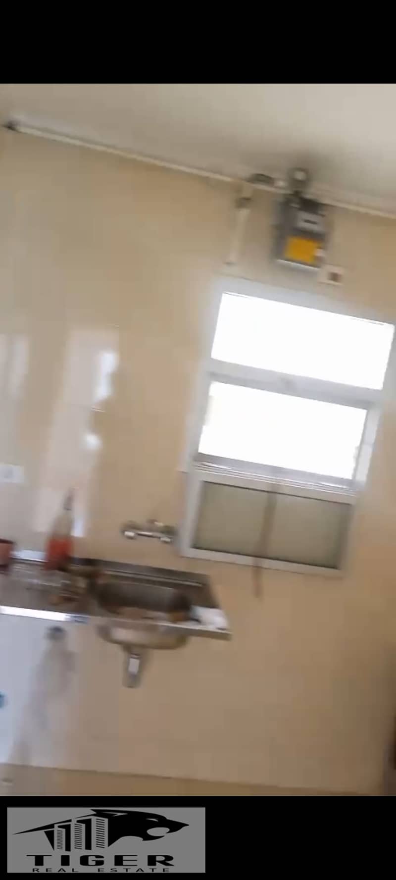 5 1000784233. jpg