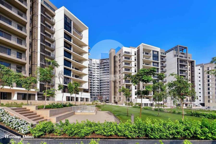 7 Zed West El-Sheikh Zayed Live Photos 2025_page-0003. jpg