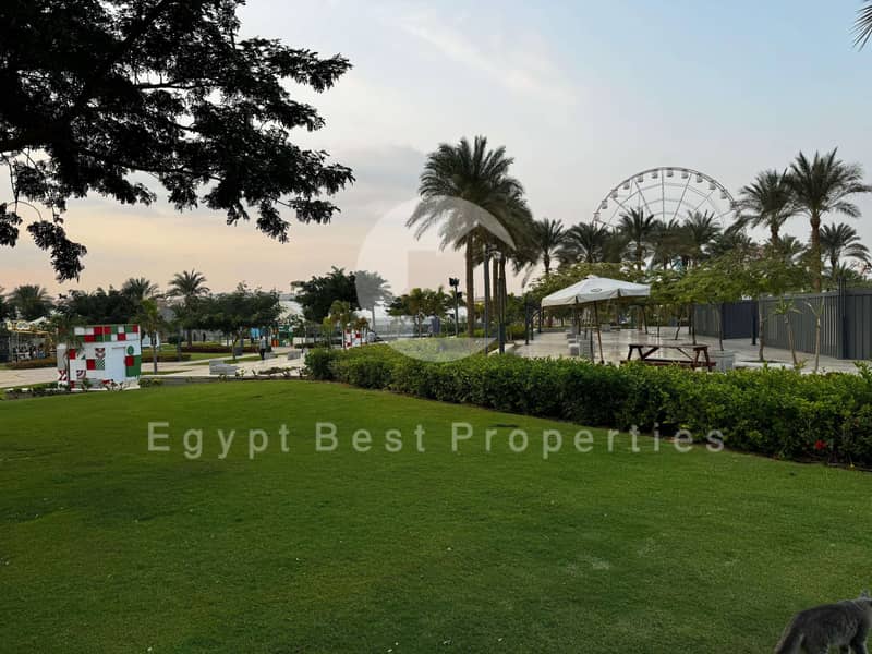 9 Zed West El-Sheikh Zayed Live Photos 2025_page-0047. jpg