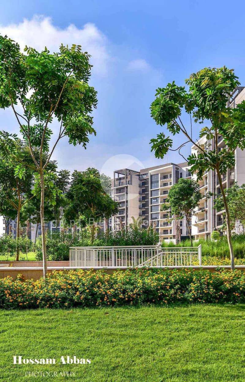 5 Zed West El-Sheikh Zayed Live Photos 2025_page-0043. jpg