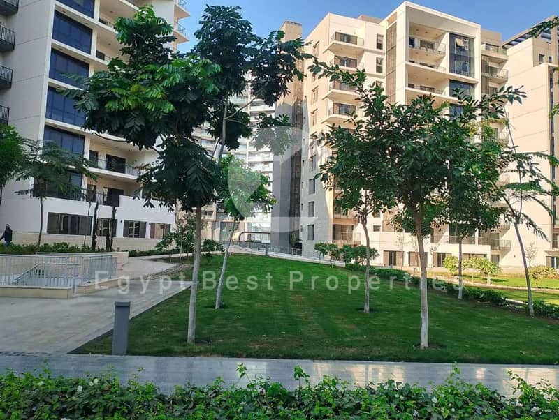 10 Zed West El-Sheikh Zayed Live Photos 2025_page-0038. jpg