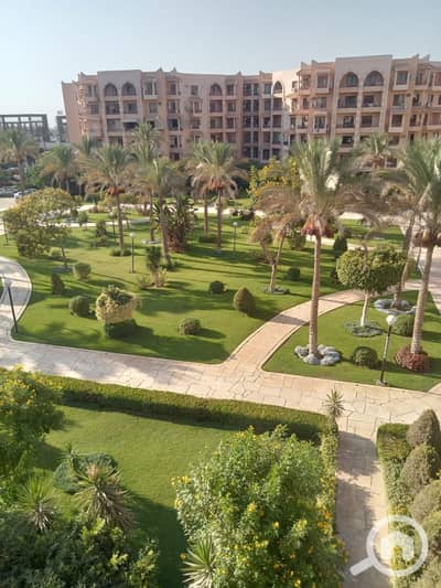 3 Bedroom Flat for Sale in New Cairo, Cairo - WhatsApp Image 2026-07-31 at 2.20. 06 PM. jpeg