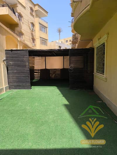 10+ Beds Apartment for Rent in New Cairo, Cairo - 1000534673. jpg 10+ Beds Apartment for Rent in New Cairo, Cairo - 1000534673. jpg