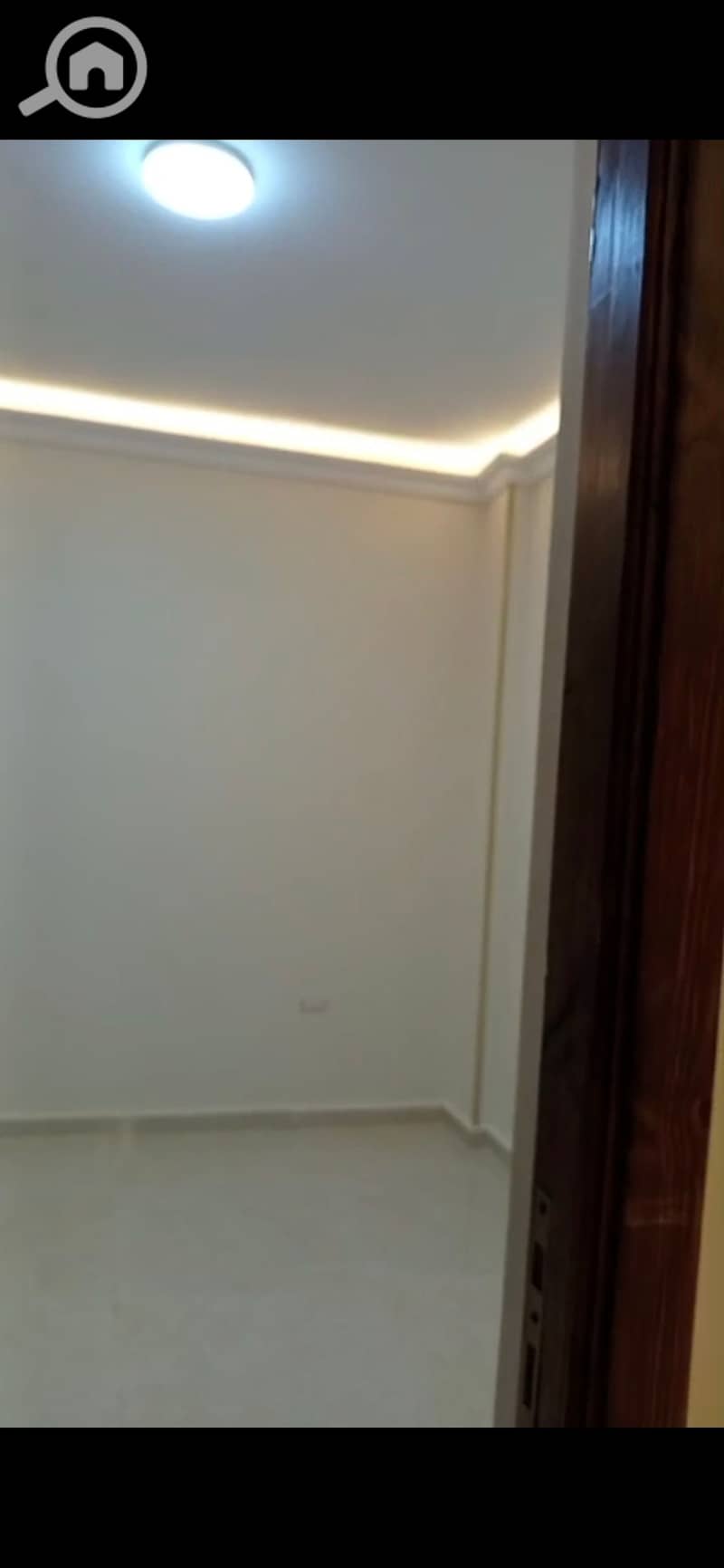 3 902728. jpg