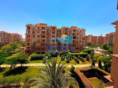 فلیٹ 3 غرف نوم للايجار في مدينتي، القاهرة - IMG_0891. jpg فلیٹ 3 غرف نوم للايجار في مدينتي، القاهرة - IMG_0891. jpg